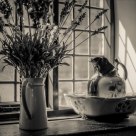 Water Jug